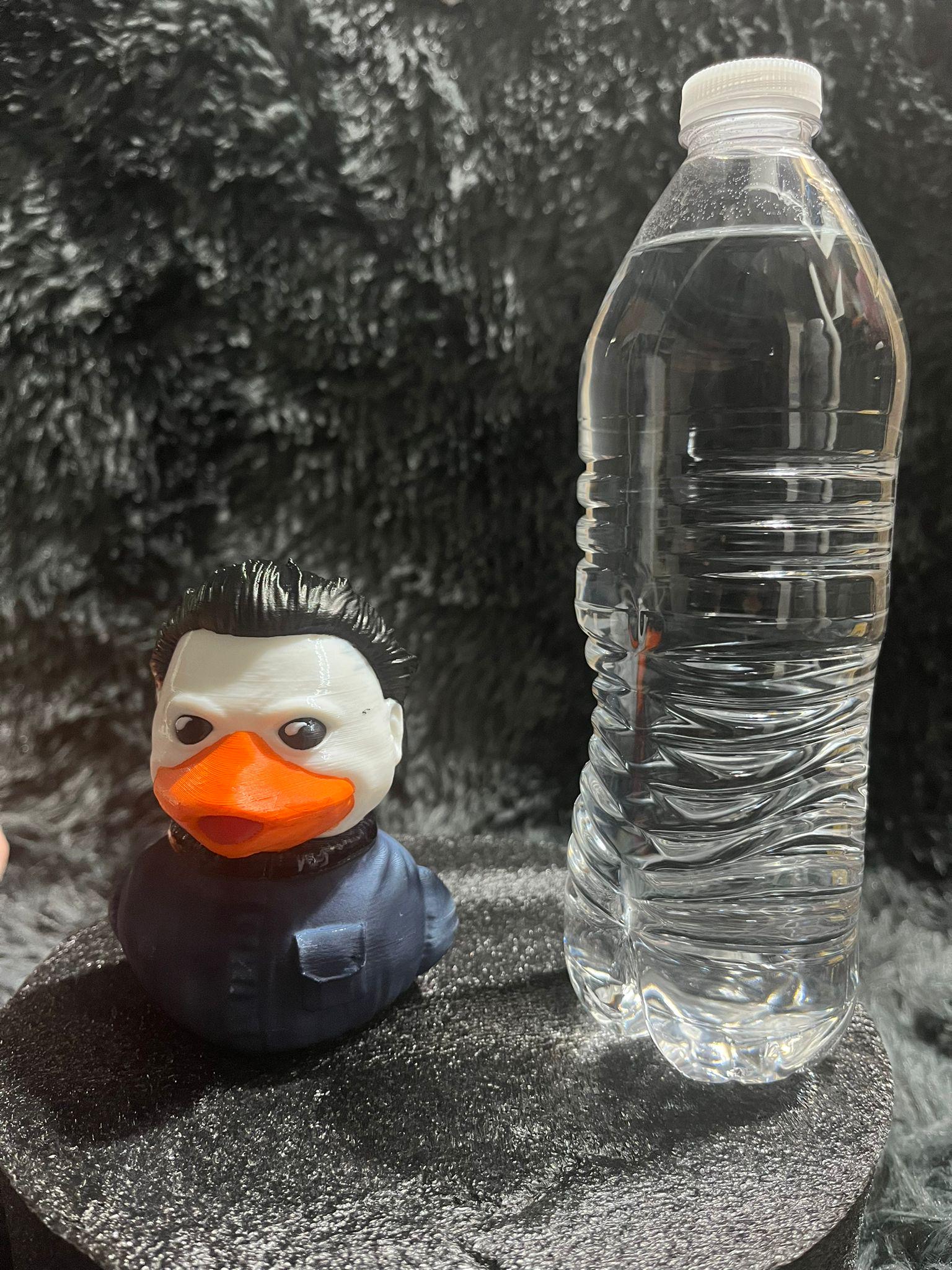 Myers Duck Hand Painted 3D Printed Pla Acrylic Water proof